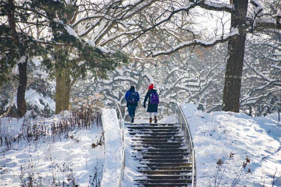 Two students ascend a snow covered stairway on the Beloit College campus.